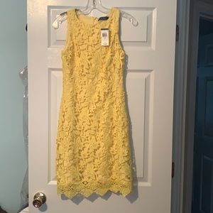Lace dress, new, brand name